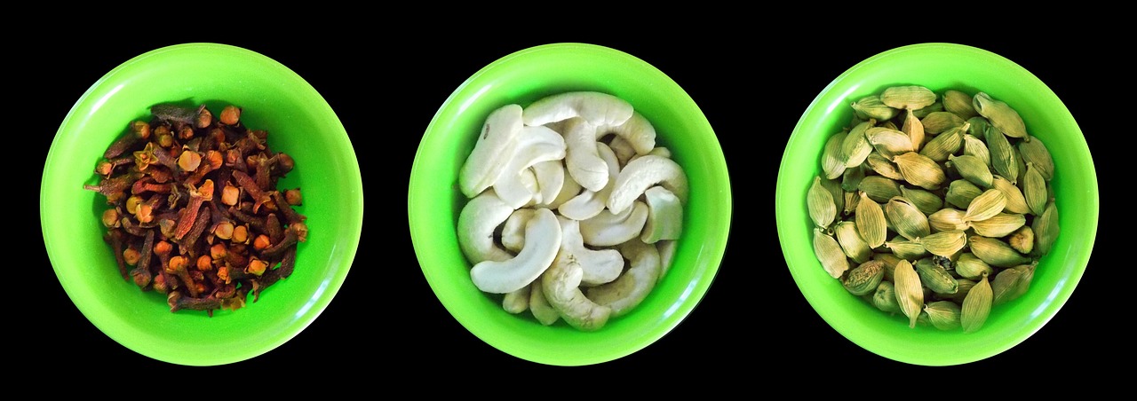 Exploring the Impact of Fermentation in Organic Waste Management
